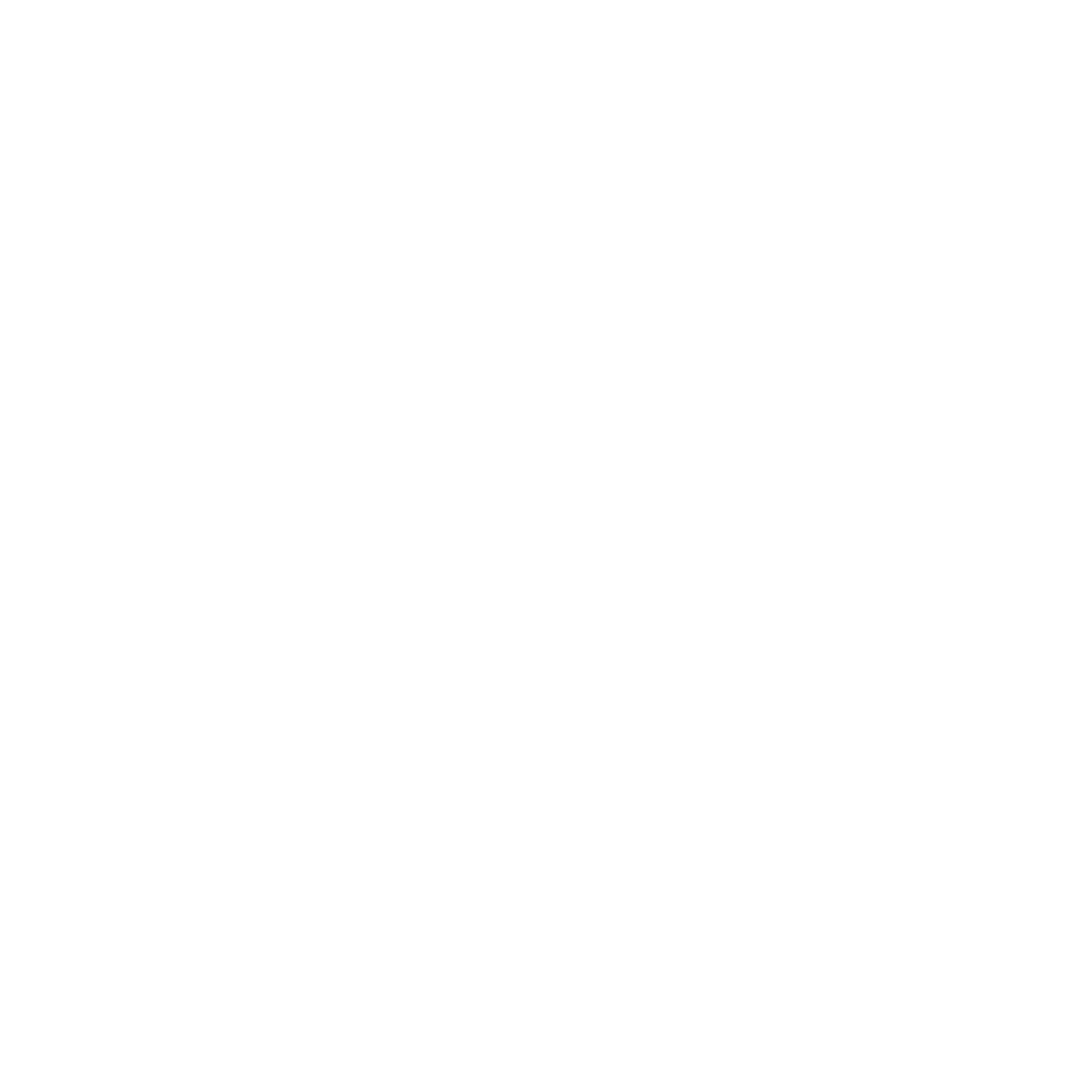 Rocket Academy Sponsor SRB Skiroller
